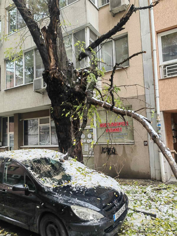 В Пловдив е като след война заради стихията СНИМКИ