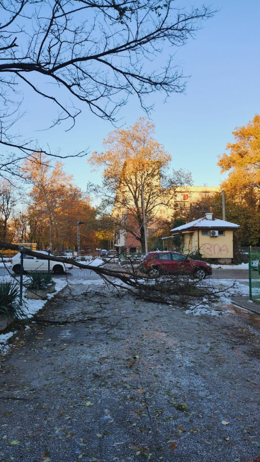 В Пловдив е като след война заради стихията СНИМКИ