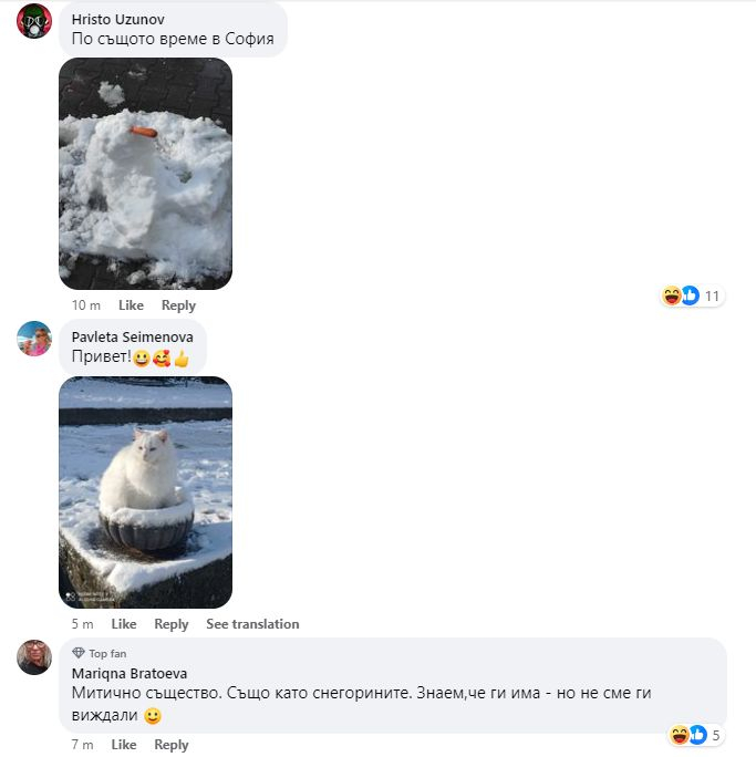 Никой не е предполагал, че ще се появи такова животно в Пловдив след снегокалипсиса СНИМКА
