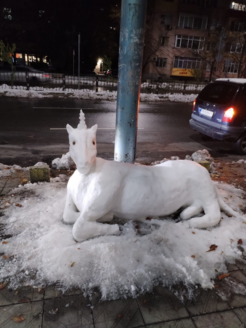 Никой не е предполагал, че ще се появи такова животно в Пловдив след снегокалипсиса СНИМКА