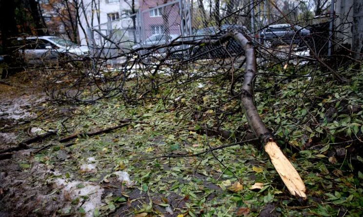 Апокалиптични СНИМКИ от София 5 дни след снега