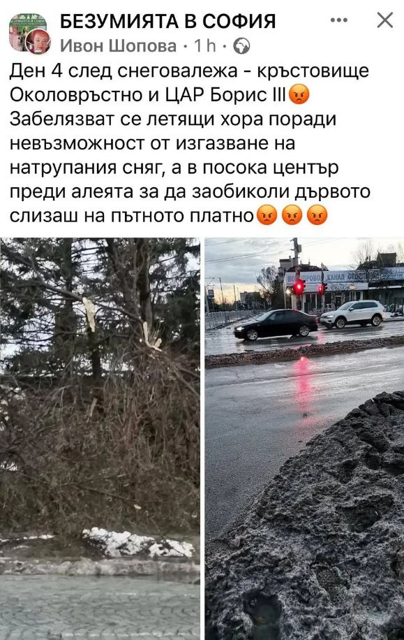 Апокалиптични СНИМКИ от София 5 дни след снега