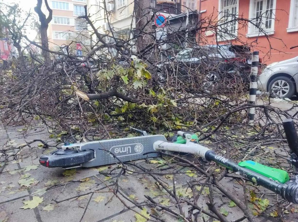 Апокалиптични СНИМКИ от София 5 дни след снега