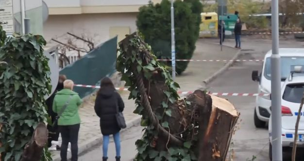 Три торби с пари и стрелба в слабините: Горещи разкрития за грабежа в Благоевград СНИМКИ