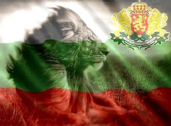 Цяла Италия говори за тези българи, нашенците показаха как се прави ВИДЕО 