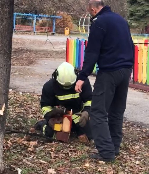 Цяла София говори за тези пожарникари, не е за вярване какво направиха в парка  ВИДЕО