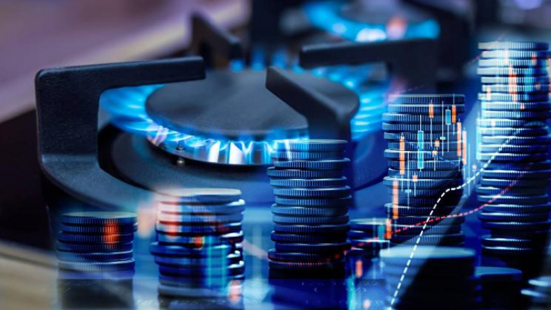 "Булгаргаз" с важно решение за цената на синьото гориво за януари
