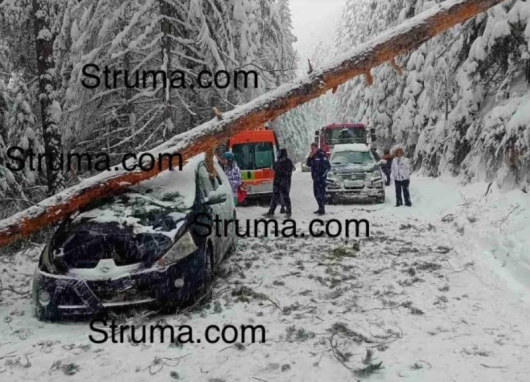 Извънредно! Кошмар на Бъндеришка поляна, ето какво се случва СНИМКИ