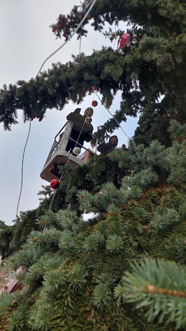 Столичани показаха на Терзиев как се прави коледна украса и центърът засия ВИДЕО 
