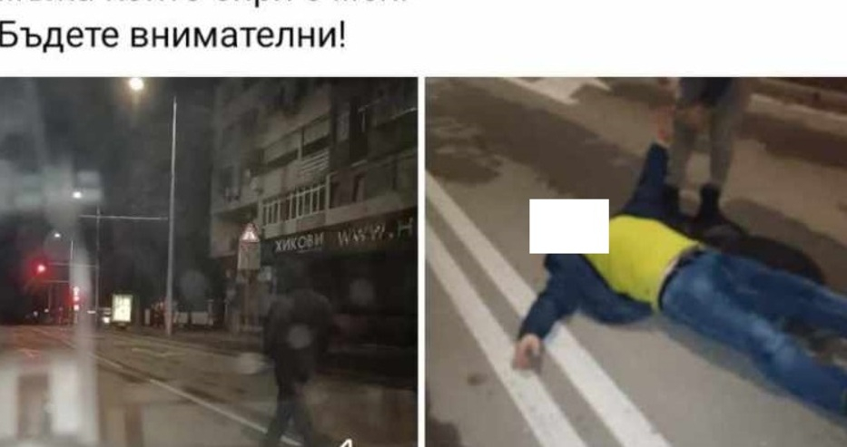 Живи трупове лежат по пътищата на Варна, шофьорите се видяха в чудо 