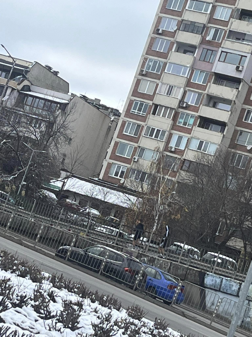Терор в София! Куп шофьори пропищяха от дивотията на тези пишлигари СНИМКИ