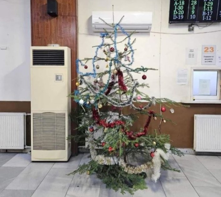В тази родна институция се намира най-нещастната елха СНИМКА