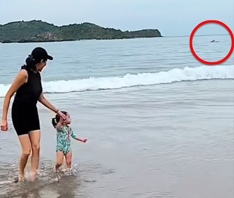 Ужасяващо ВИДЕО 18+ запечата как загадъчно животно разкъсва турист на метри от брега