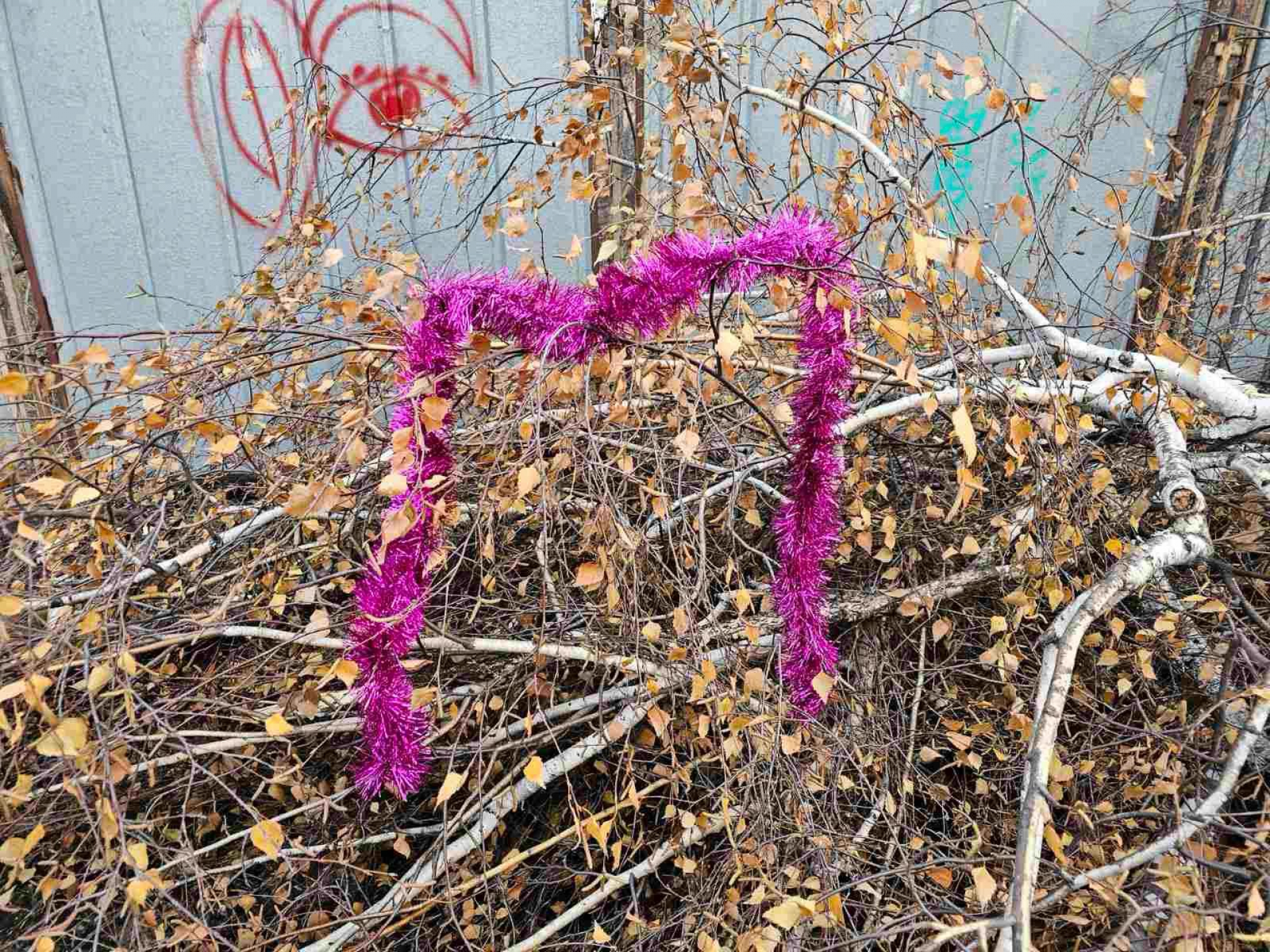 Елхите на Терзиев - невиждан бунт в цяла София СНИМКИ