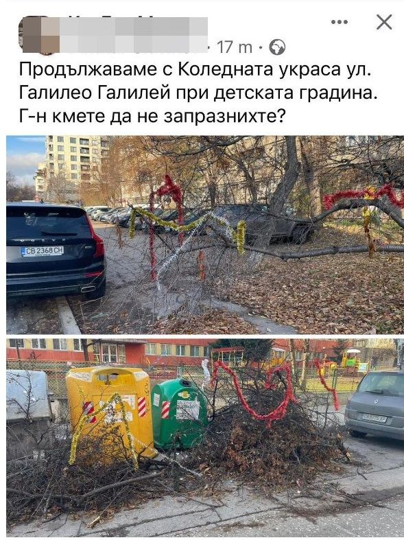 Елхите на Терзиев - невиждан бунт в цяла София СНИМКИ