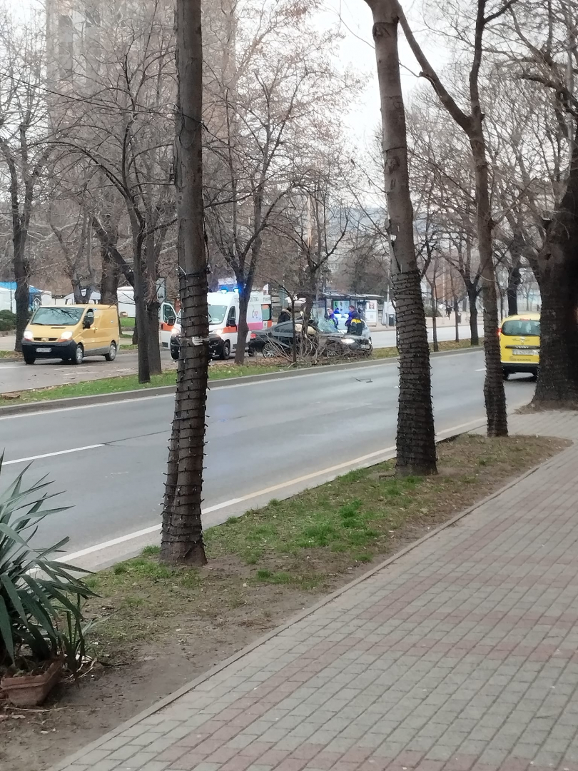 Скандално! Виновникът за мелето на пъпа на Варна се оказа... 