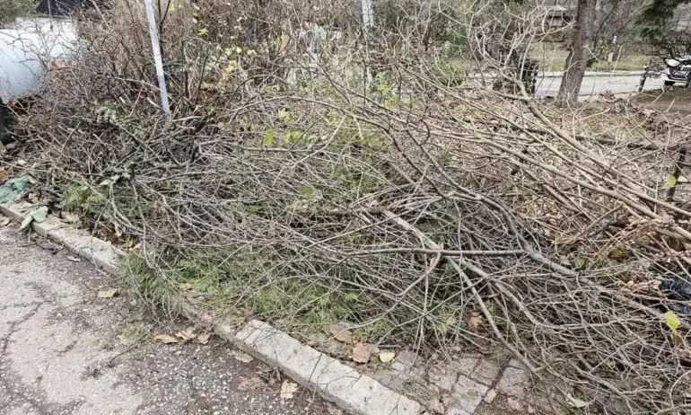 Ужасът в София заради ПП-ДБ-СС продължава: Никога не е била толкова "чиста и ароматна"