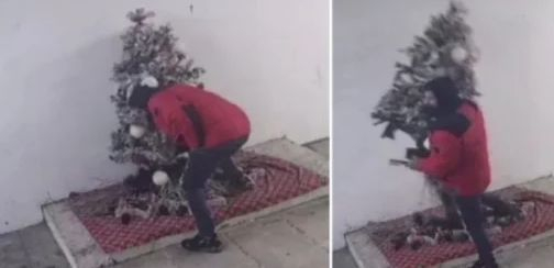 Известни крими типове са виновни за гнусната кражба, разтърсила Перник ВИДЕО