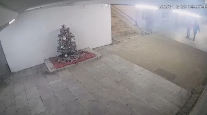 Крадците на елхата в Перник искали да я...