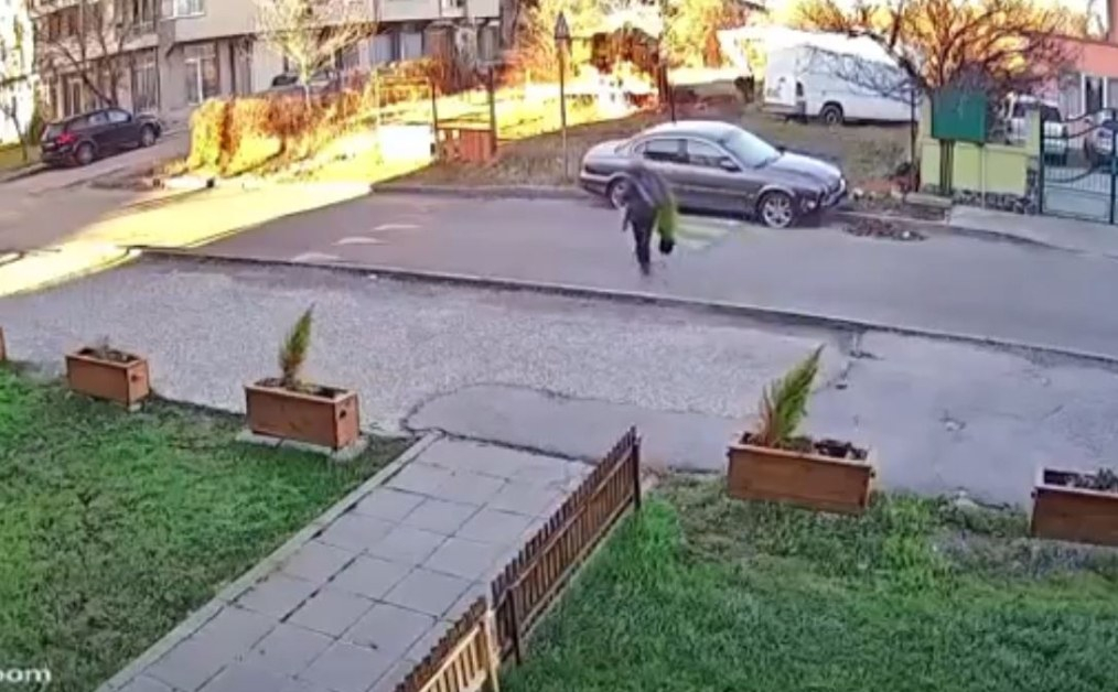 Жена се приближи до саксия в жк "Люлин" и стори нещо много грозно ВИДЕО