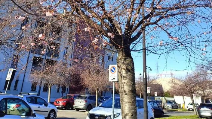 Природата се чална, а хората притеснено се питат: Чака ли ни люта зима? СНИМКИ
