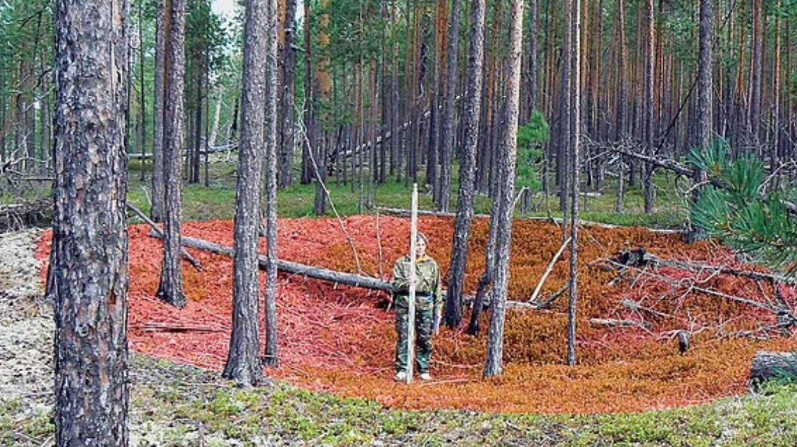 Откриха най-старата в света крепост в Сибир - учените още са в шок