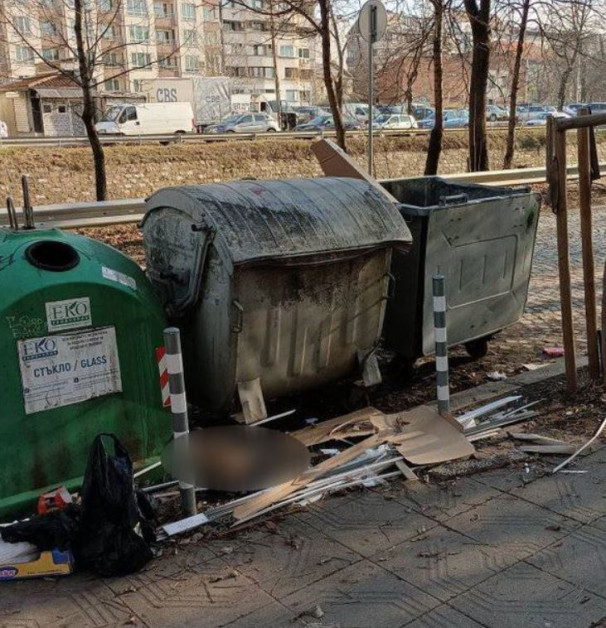 Зловещо: Жена откри отрязана глава в центъра на София СНИМКИ