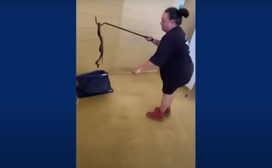 Жена влезе в тоалетна и намери ужаса вътре, какво чудовище напипа? ВИДЕО 