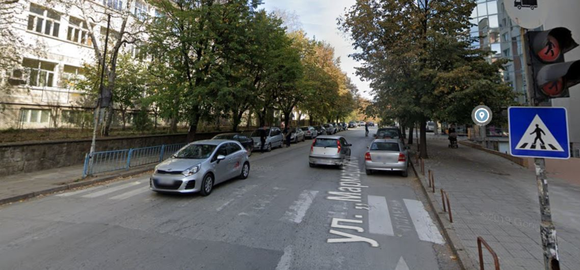 Уникална зебра на улица в Търново, мрежата гърми СНИМКИ 