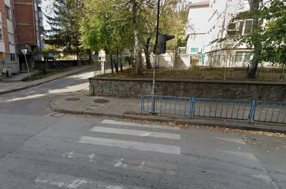 Уникална зебра на улица в Търново, мрежата гърми СНИМКИ 