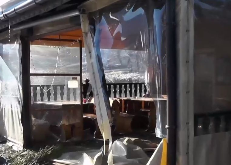 Закусвалня във Враца осъмна с неочакван клиент, точно пред бара се озова... ВИДЕО