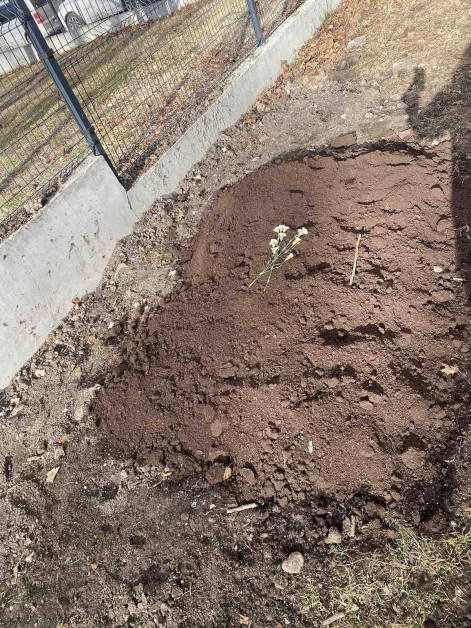 Всички са в шок: Погребаха труп до детска градина в София СНИМКИ 