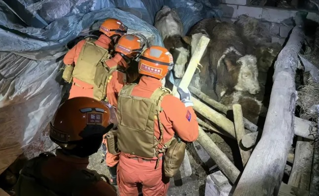 Ново силно земетресение в района между Китай и Киргизстан 
