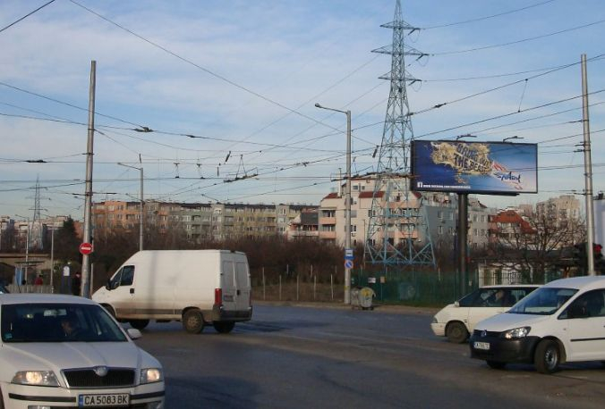 Необичаен посетител броди из София, мрежата прегря СНИМКА 