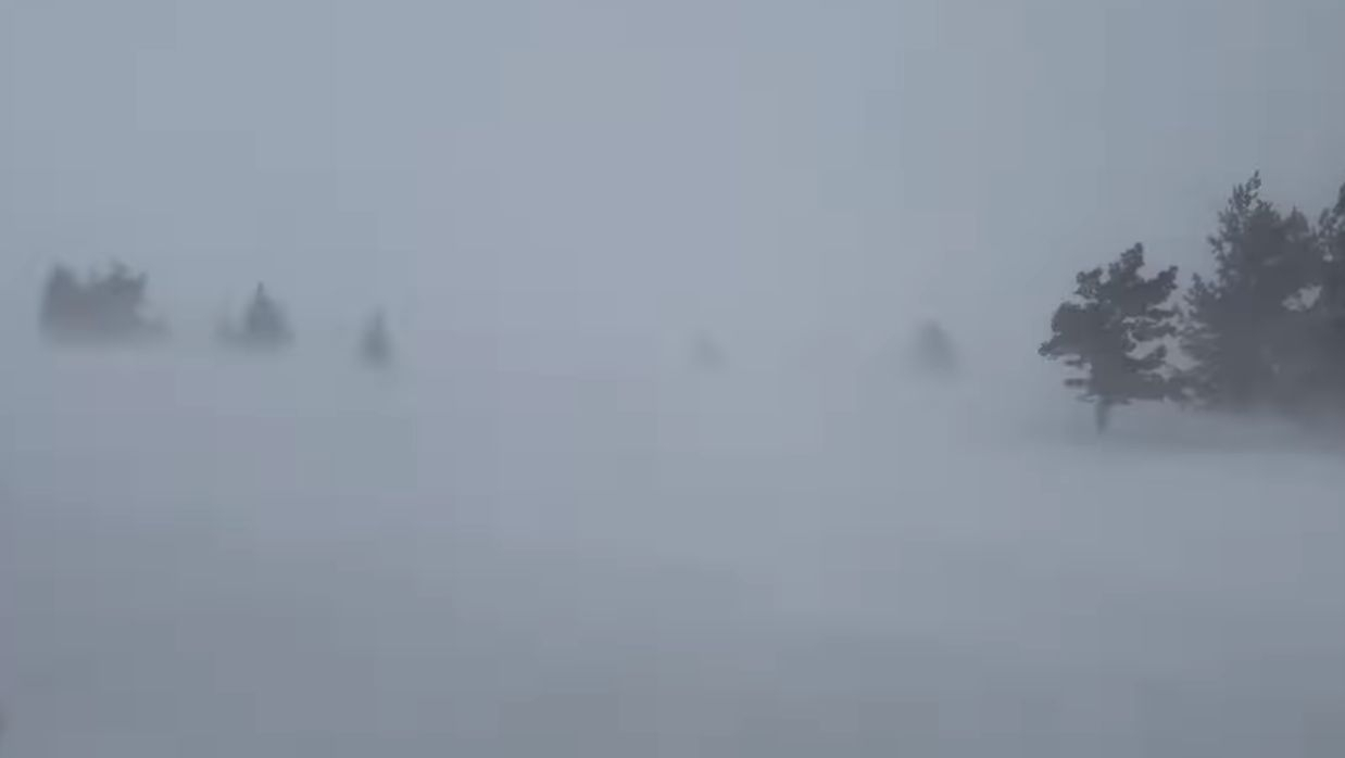 Ужасът започна: Снежен ураган връхлетя България! Страховито ВИДЕО