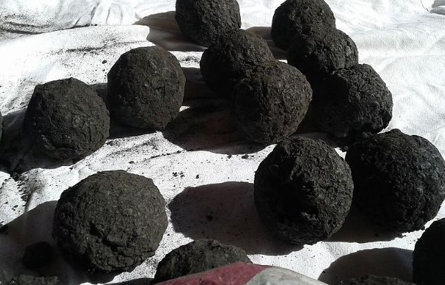 Малцина знаят кое е черното злато на Родопа планина: Лекува всичко, а цената му е... ВИДЕО