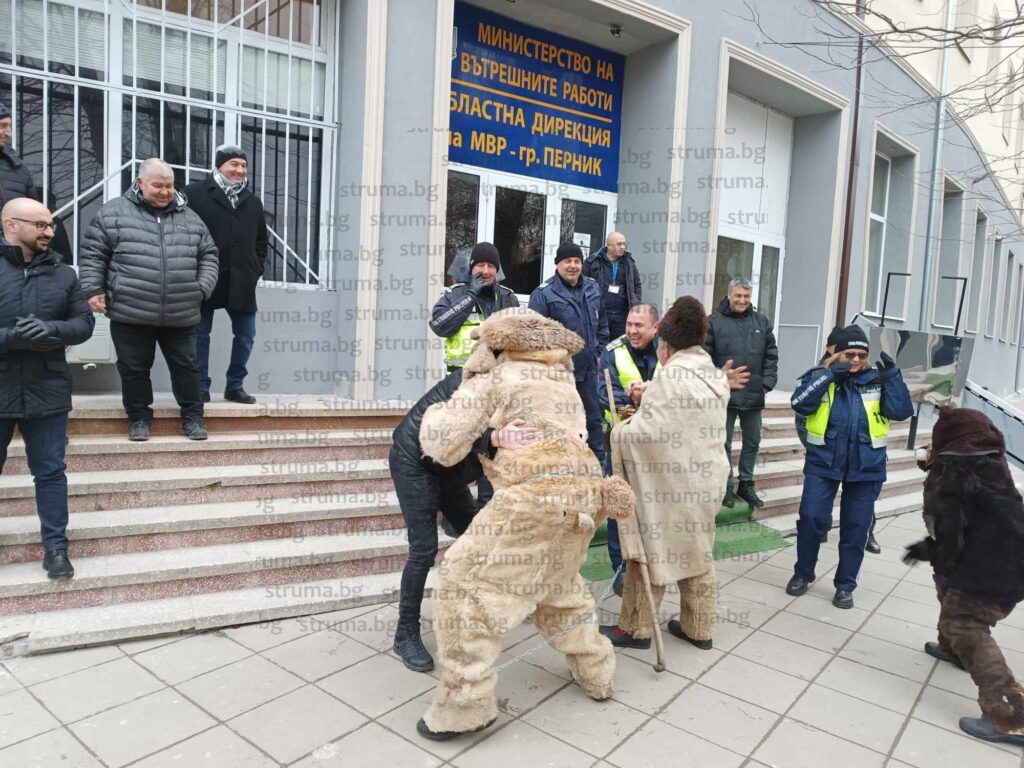 Мечка прегази пернишките полицаи СНИМКИ 