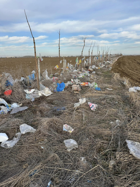 Апокалиптична гледка в нивите край Асеновград СНИМКИ