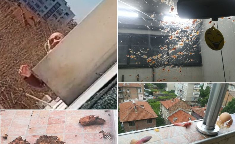 Ужас за семейство с бебе! Мъж хвърля пиратки и изпражнения в терасата им СНИМКИ