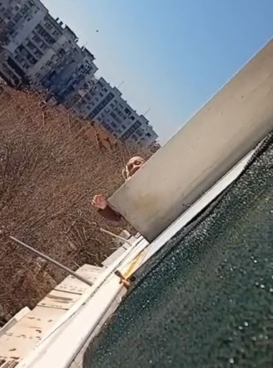Ужас за семейство с бебе! Мъж хвърля пиратки и изпражнения в терасата им СНИМКИ