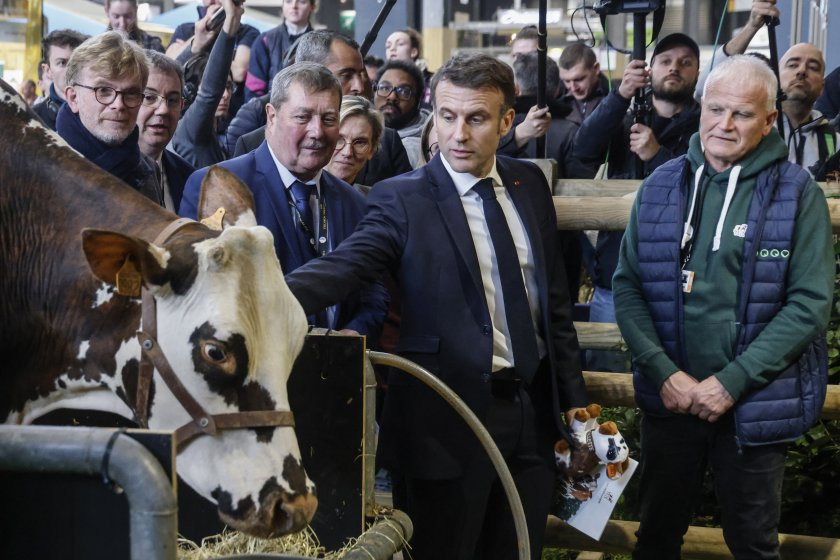 Макрон отиде на селскостопански панаир в Париж и съжали жестоко, не очакваше това СНИМКИ