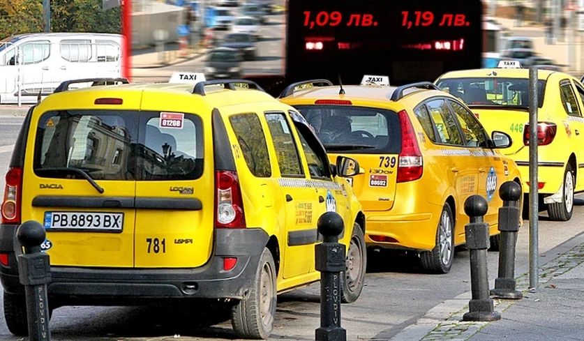 Пловдивските бакшиши избиха рибата, поискаха да...