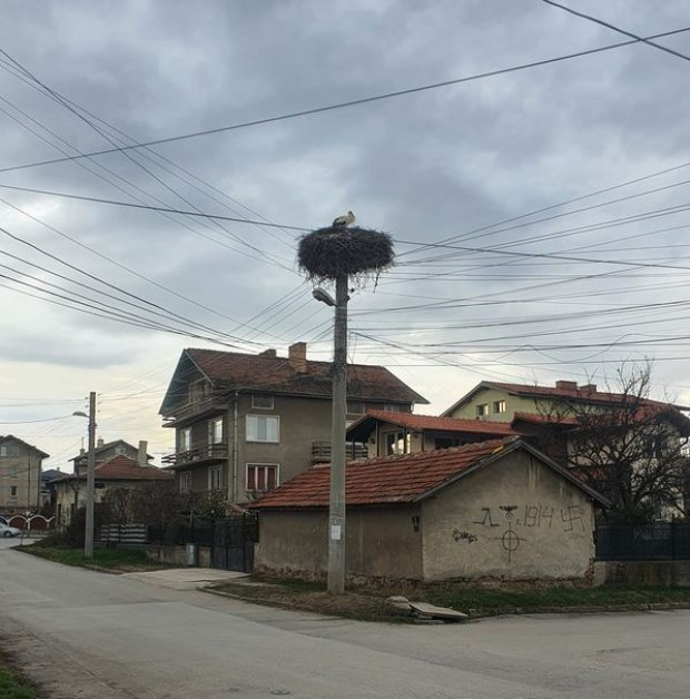 Навръх Баба марта пролетта долетя в София СНИМКА 