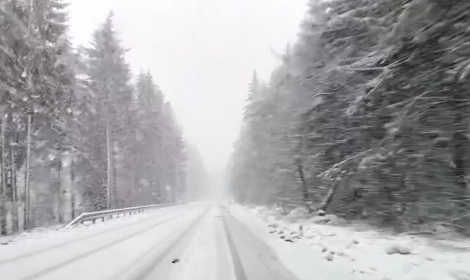 България в момента: На Петрохан виелица, а Пловдив цъфти ВИДЕО