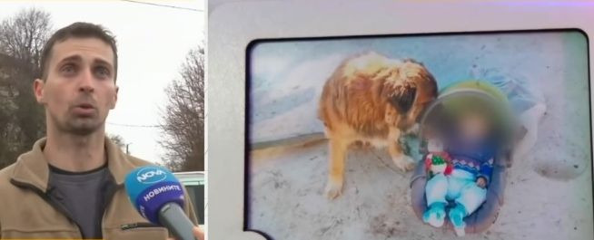 Ужас в габровско село! Някой хвърля отрова по дворовете, вече има смъртни случаи ВИДЕО