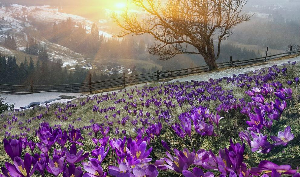 Опасно явление сковава България в неделя, внимавайте