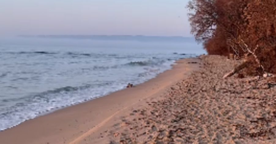 Смайваща гледка край брега на морето във Варна ВИДЕО 