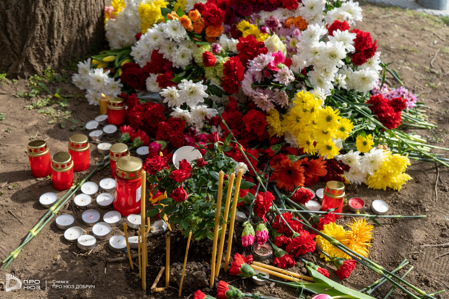 Добрич настръхна след кървавата баня в градския парк, а убиецът на Живко… 