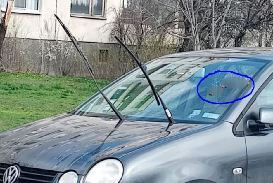 Фекално наказание потресе цяла София СНИМКА