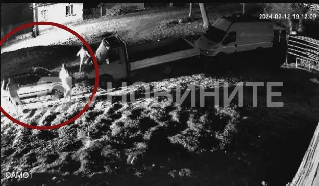 Мъже с тръби, жени и деца с ножове: Масов бой между фамилии до Бяла Слатина, кръв хвърчи навсякъде